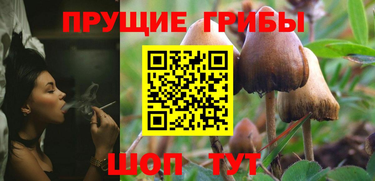 Галлюциногенные грибы MAGIC MUSHROOMS Чита